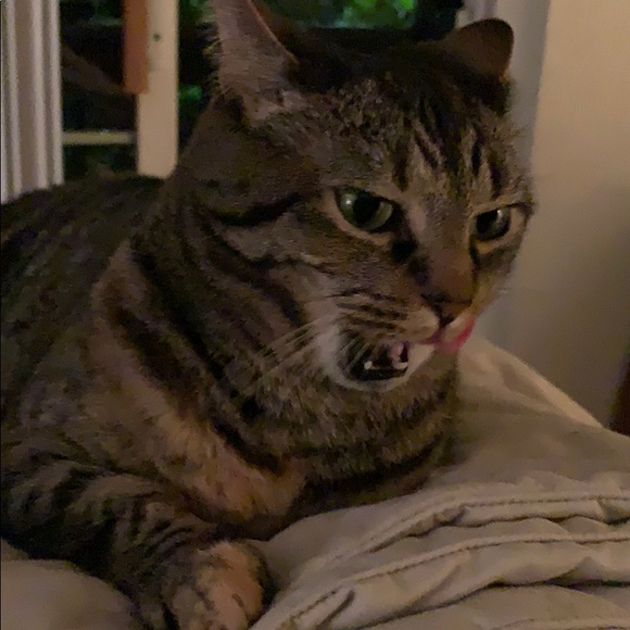 Meet your Posher, Jennifer - Picture 1 of 1